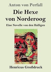 bokomslag Die Hexe von Norderoog (Grodruck)