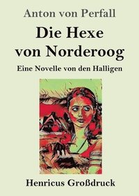bokomslag Die Hexe von Norderoog (Grossdruck)