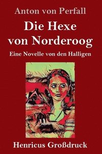 bokomslag Die Hexe von Norderoog (Grodruck)