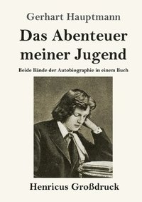 bokomslag Das Abenteuer meiner Jugend (Grodruck)