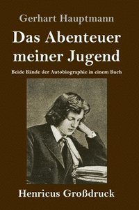 bokomslag Das Abenteuer meiner Jugend (Grodruck)