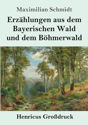 Erzählungen aus dem Bayerischen Wald und dem Böhmerwald (Großdruck)