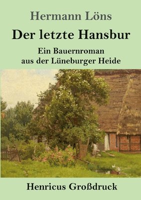 bokomslag Der letzte Hansbur (Grodruck)