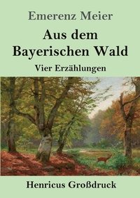 bokomslag Aus dem Bayerischen Wald (Grossdruck)