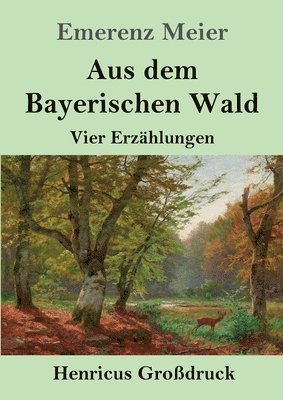 bokomslag Aus dem Bayerischen Wald (Großdruck)