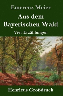 bokomslag Aus dem Bayerischen Wald (Großdruck)