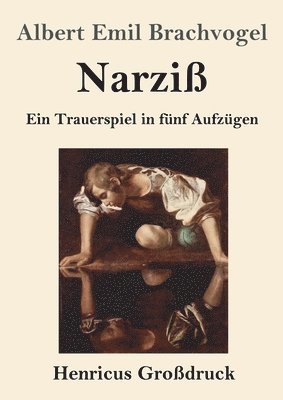 bokomslag Narziß (Großdruck)