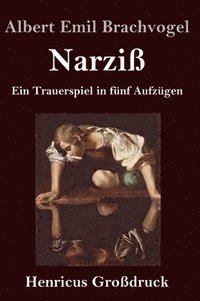 bokomslag Narziß (Großdruck)