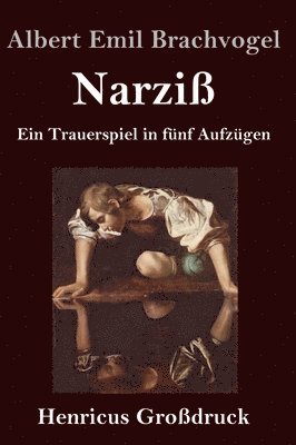 bokomslag Narziß (Großdruck)