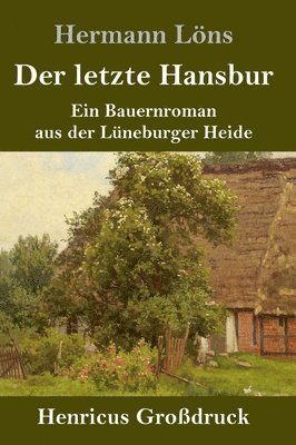 bokomslag Der letzte Hansbur (Grodruck)