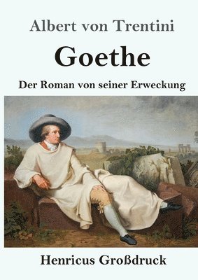 bokomslag Goethe (Großdruck)
