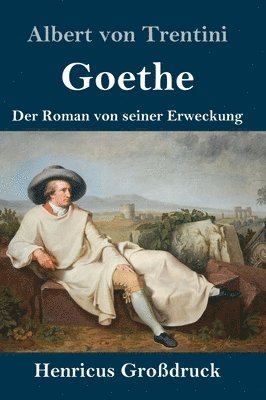 bokomslag Goethe (Großdruck)