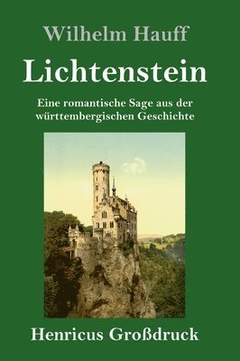 bokomslag Lichtenstein (Großdruck)