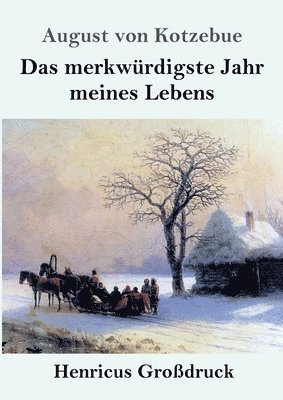 bokomslag merkwürdigste Jahr meines Lebens (Großdruck)