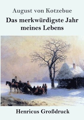 Das merkwurdigste Jahr meines Lebens (Grossdruck) 1