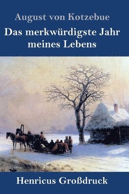 Das merkwrdigste Jahr meines Lebens (Grodruck) 1