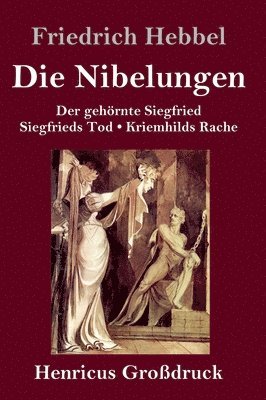 bokomslag Nibelungen (Großdruck)