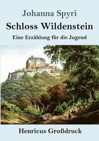 bokomslag Schloss Wildenstein (Grossdruck)