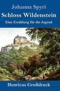 bokomslag Schloss Wildenstein (Großdruck)