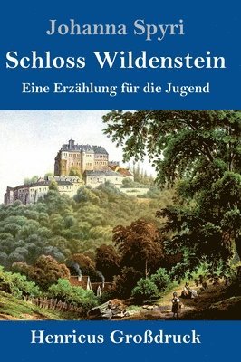 bokomslag Schloss Wildenstein (Großdruck)