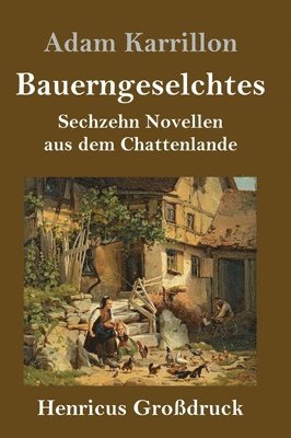 bokomslag Bauerngeselchtes (Großdruck)