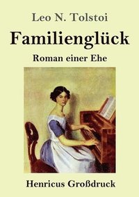 bokomslag Familienglck (Grodruck)