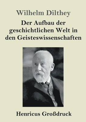 bokomslag Aufbau der geschichtlichen Welt in den Geisteswissenschaften (Großdruck)