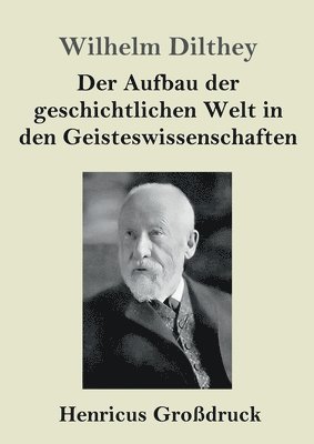 bokomslag Der Aufbau der geschichtlichen Welt in den Geisteswissenschaften (Grodruck)