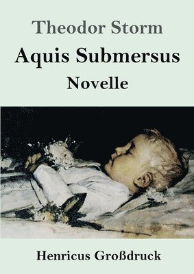 bokomslag Aquis Submersus (Großdruck)