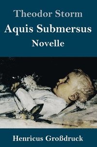 bokomslag Aquis Submersus (Großdruck)