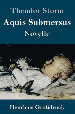 bokomslag Aquis Submersus (Großdruck)