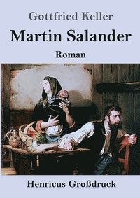 bokomslag Martin Salander (Großdruck)