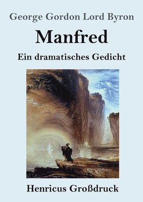 bokomslag Manfred (Großdruck)