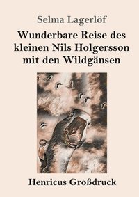 bokomslag Wunderbare Reise des kleinen Nils Holgersson mit den Wildgnsen (Grodruck)