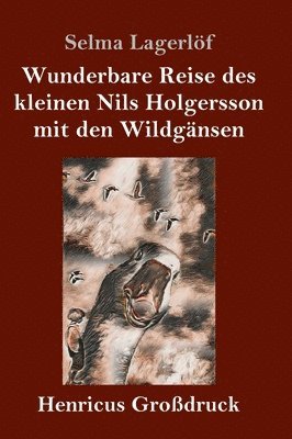 Selma Lagerlöf - Wunderbare Reise des kleinen Nils Holgersson mit den Wildgänsen (Großdruck), Inbunden