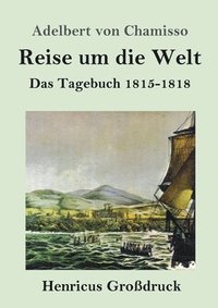 bokomslag Reise um die Welt (Großdruck)