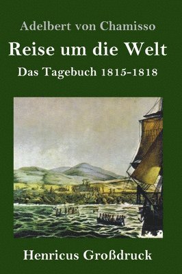bokomslag Reise um die Welt (Großdruck)