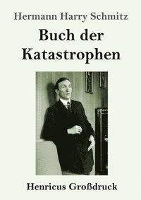 bokomslag Buch der Katastrophen (Großdruck)