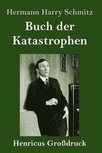 bokomslag Buch der Katastrophen (Großdruck)