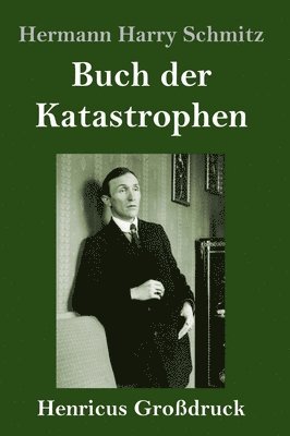 bokomslag Buch der Katastrophen (Grodruck)