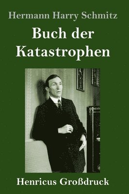 Hermann Harry Schmitz - Buch der Katastrophen (Großdruck), Inbunden