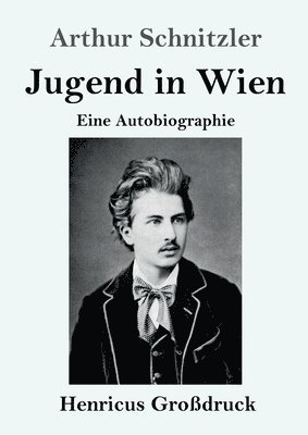 Arthur Schnitzler - Jugend in Wien (Großdruck), Häftad