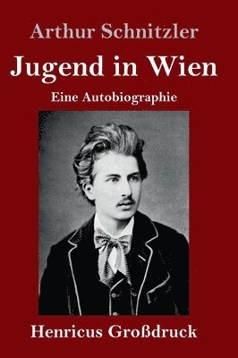 Jugend in Wien (Großdruck)
