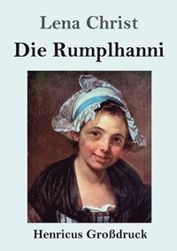 bokomslag Rumplhanni (Großdruck)