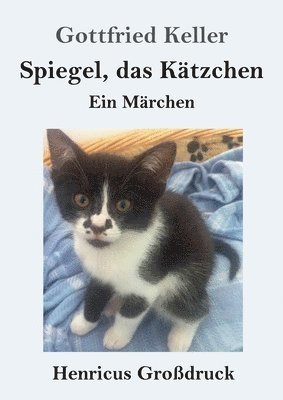 bokomslag Spiegel, das Ktzchen (Grodruck)