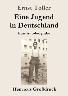 bokomslag Eine Jugend in Deutschland (Großdruck)