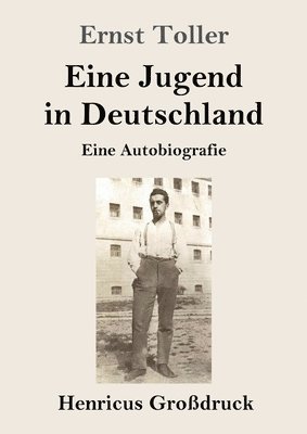 bokomslag Eine Jugend in Deutschland (Grodruck)