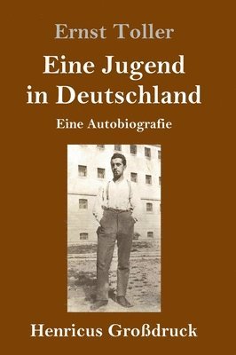 bokomslag Eine Jugend in Deutschland (Großdruck)