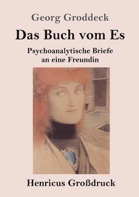 Georg Groddeck - Buch vom Es (Großdruck), Häftad