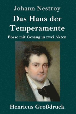 bokomslag Haus der Temperamente (Großdruck)